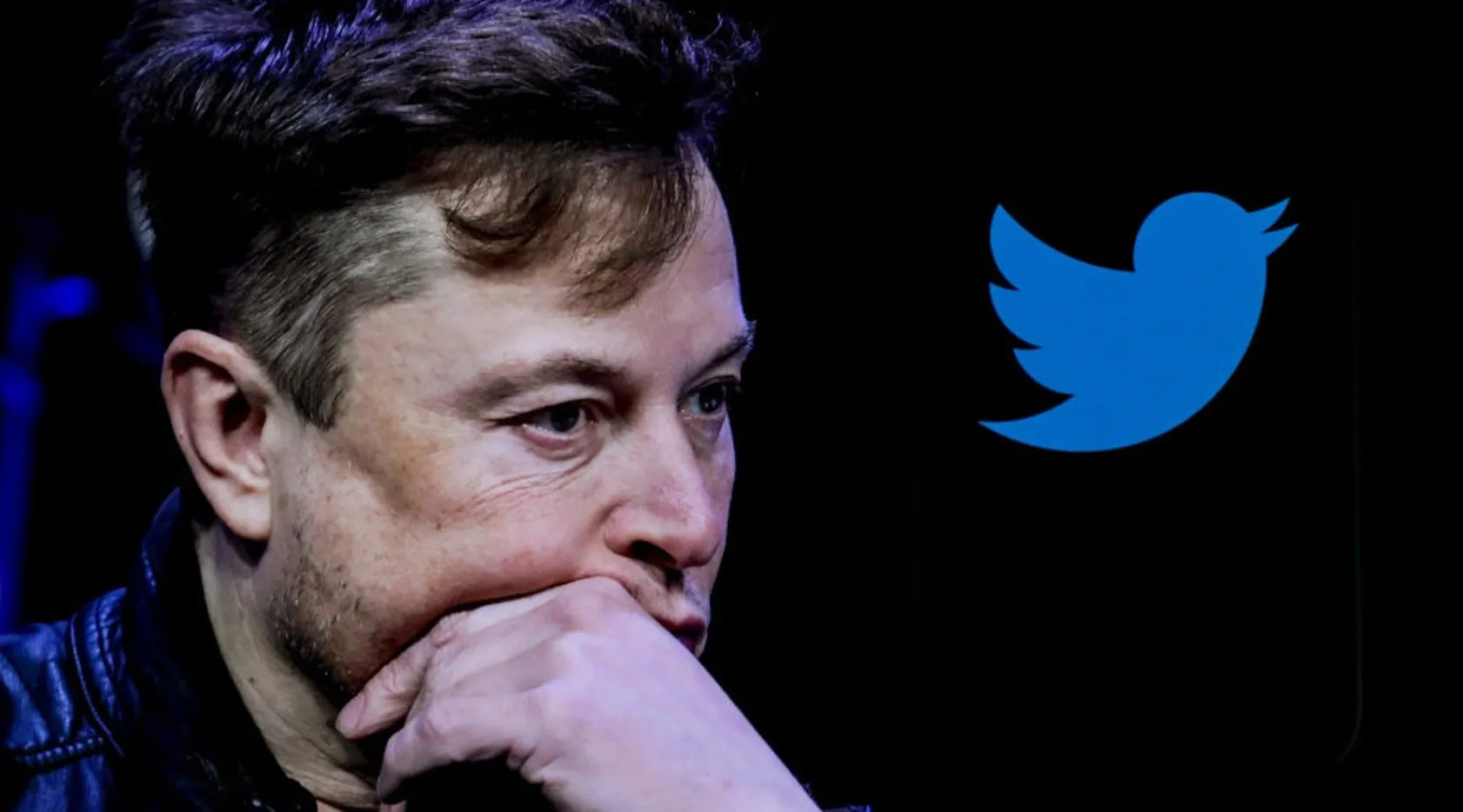 The Clarifying Moment Elon Musk Has Given Us